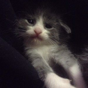 Meet your Posher, Ericka